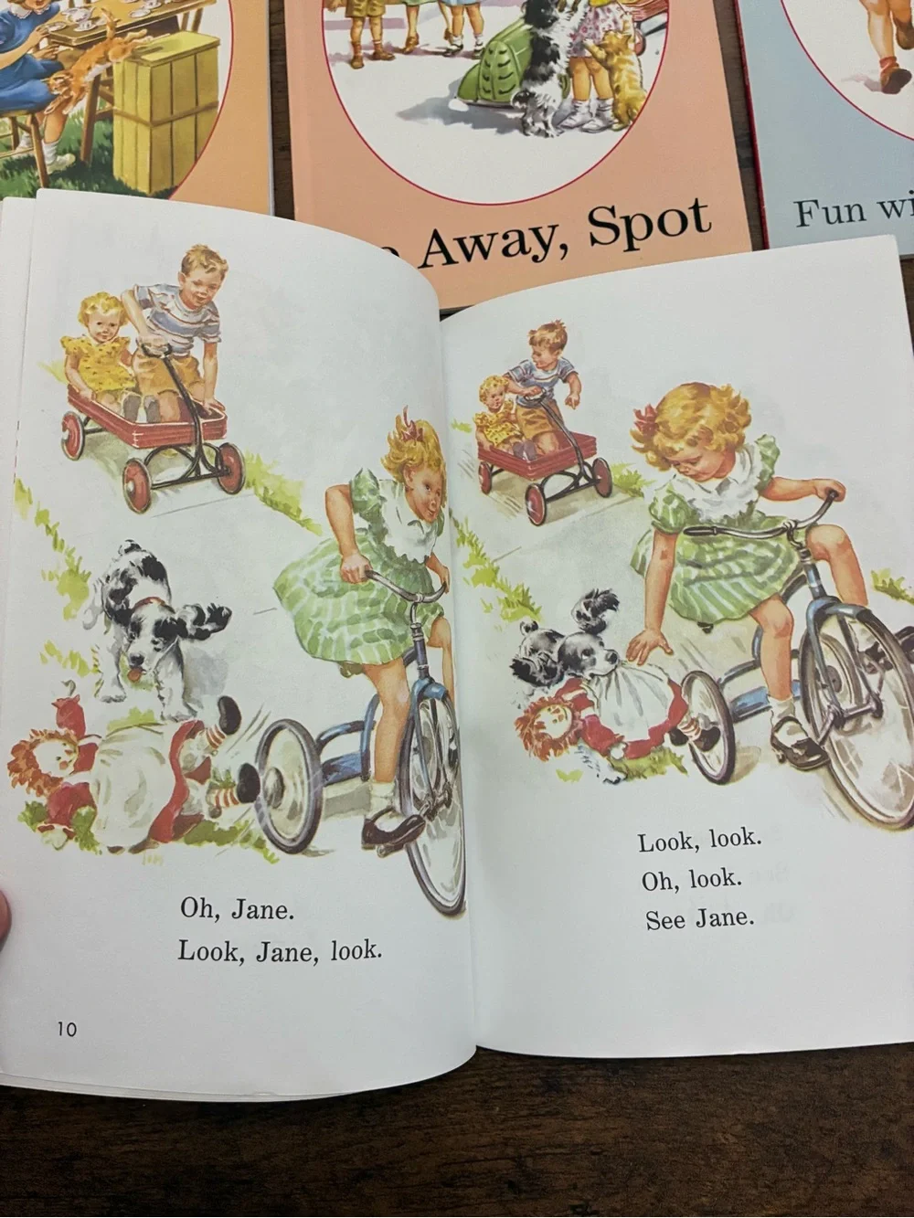 Read with Dick and Jane Classic Children’s  Book Set